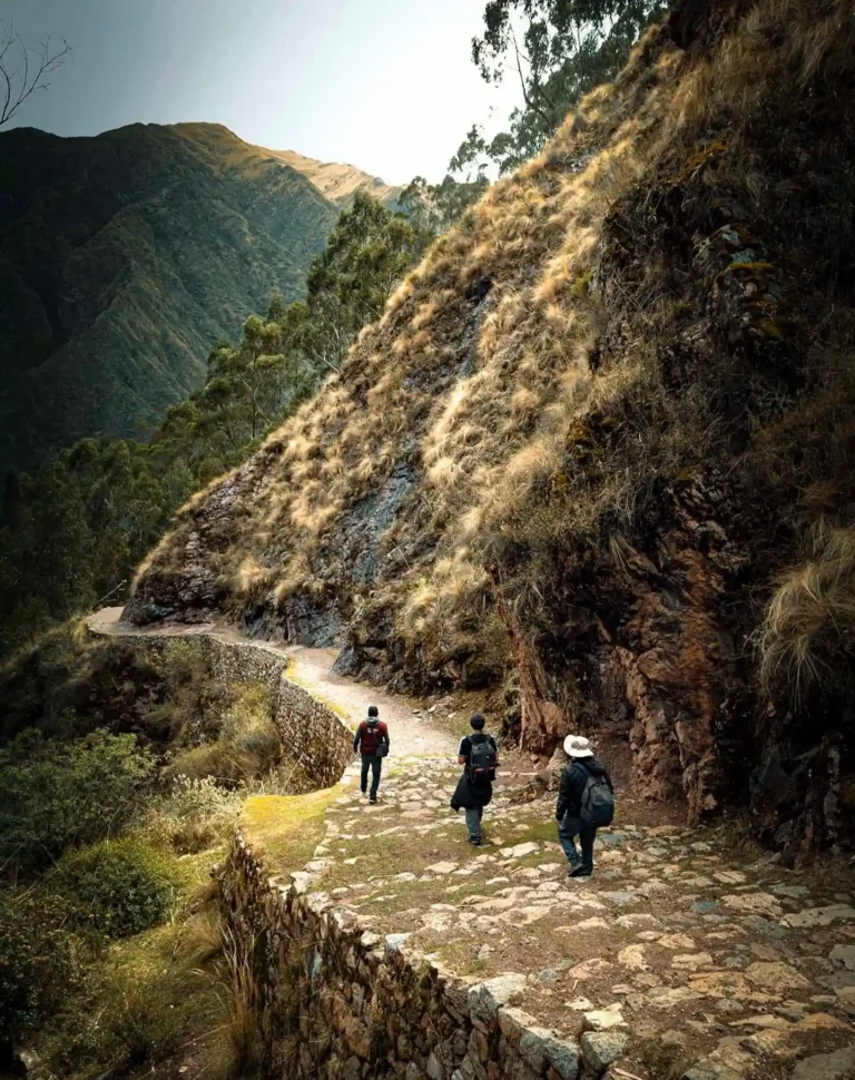 Camino Inca Antisuyo – 1 día