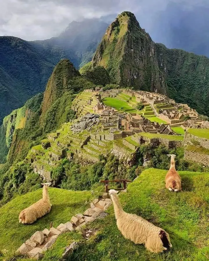 Camino Inca Corto y Machu Picchu: 2 días