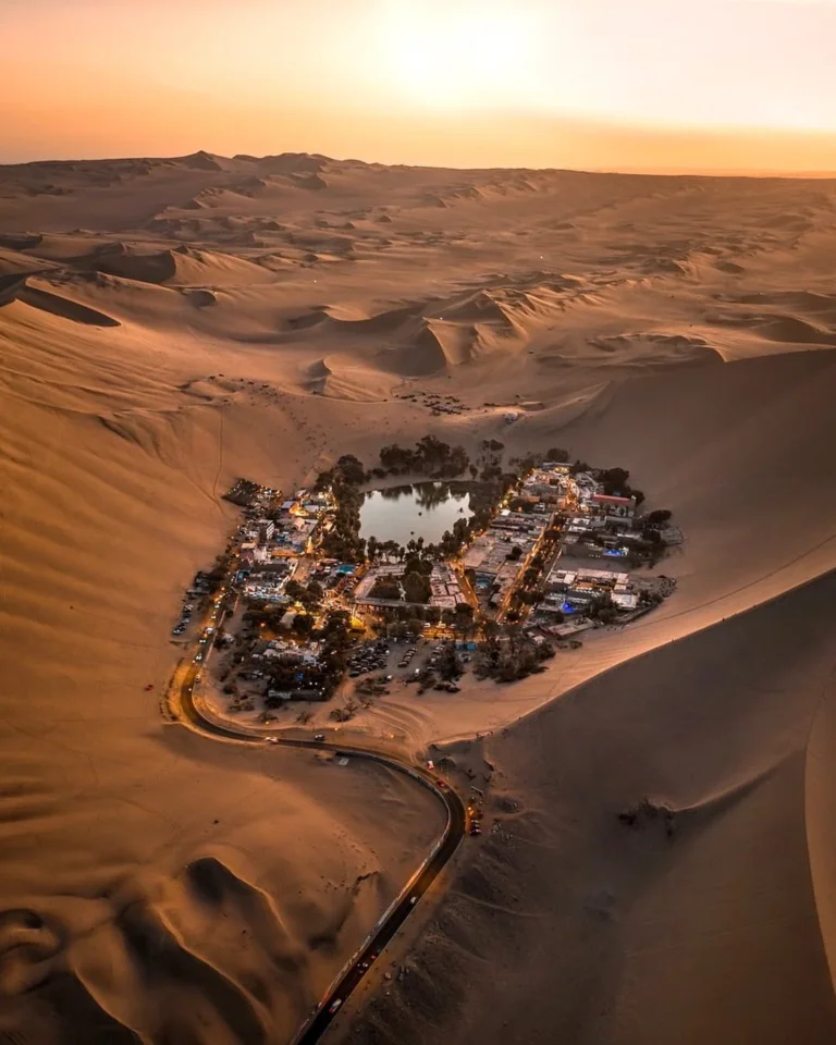 Oasis de Huacachina, Islas Ballestas y viñedo